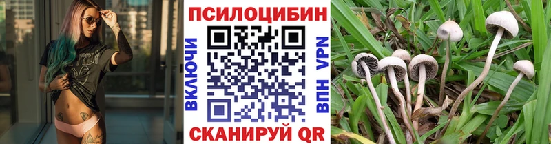 Купить где  Димитровград  Галлюциногенные грибы мухоморы 